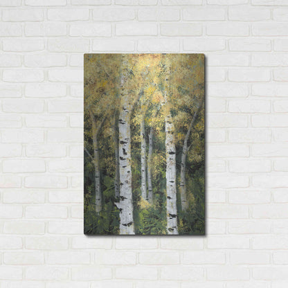 Luxe Metal Art 'Birch Treeline II' by Jade Reynolds, Metal Wall Art,24x36