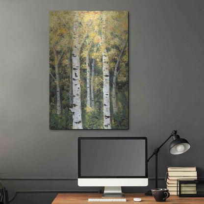 Luxe Metal Art 'Birch Treeline II' by Jade Reynolds, Metal Wall Art,24x36