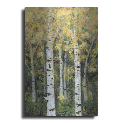 Luxe Metal Art 'Birch Treeline II' by Jade Reynolds, Metal Wall Art