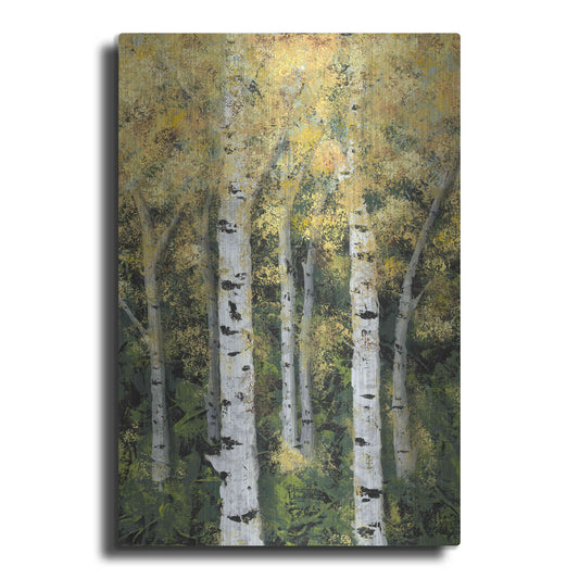 Luxe Metal Art 'Birch Treeline II' by Jade Reynolds, Metal Wall Art
