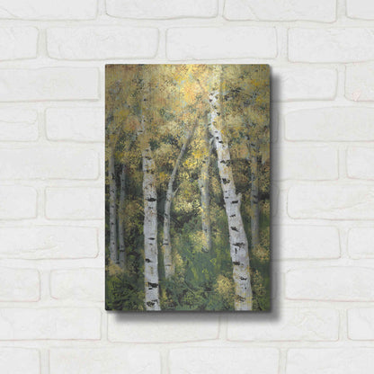 Luxe Metal Art 'Birch Treeline III' by Jade Reynolds, Metal Wall Art,12x16