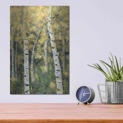 Luxe Metal Art 'Birch Treeline III' by Jade Reynolds, Metal Wall Art,12x16