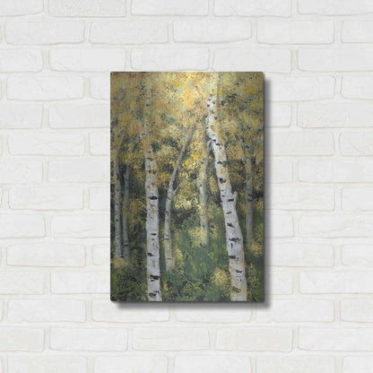 Luxe Metal Art 'Birch Treeline III' by Jade Reynolds, Metal Wall Art,16x24