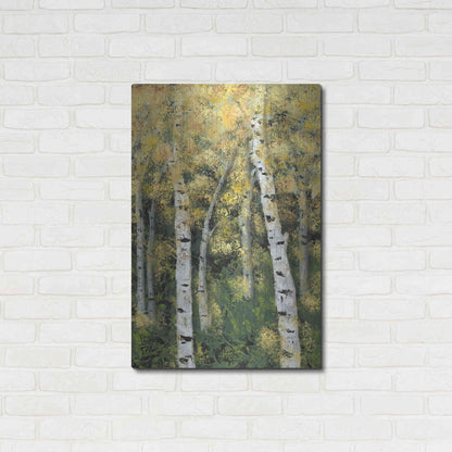 Luxe Metal Art 'Birch Treeline III' by Jade Reynolds, Metal Wall Art,24x36