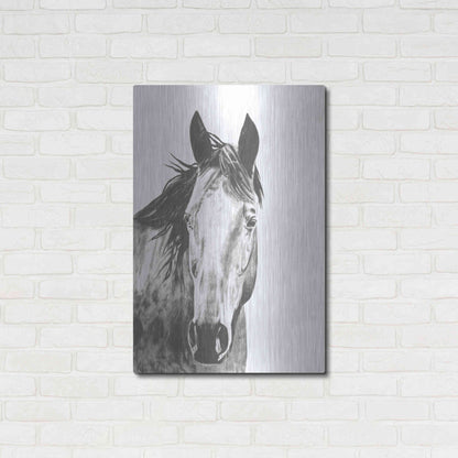 Luxe Metal Art 'Wildlife Snapshot Horse I' by Naomi McCavitt, Metal Wall Art,24x36