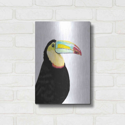 Luxe Metal Art 'Watercolor Toucan' by Naomi McCavitt, Metal Wall Art,12x16