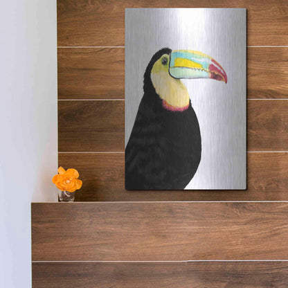 Luxe Metal Art 'Watercolor Toucan' by Naomi McCavitt, Metal Wall Art,12x16