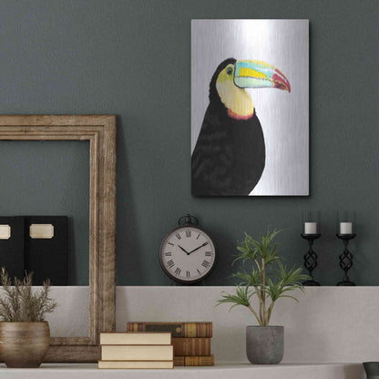 Luxe Metal Art 'Watercolor Toucan' by Naomi McCavitt, Metal Wall Art,12x16