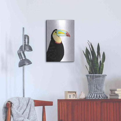 Luxe Metal Art 'Watercolor Toucan' by Naomi McCavitt, Metal Wall Art,16x24