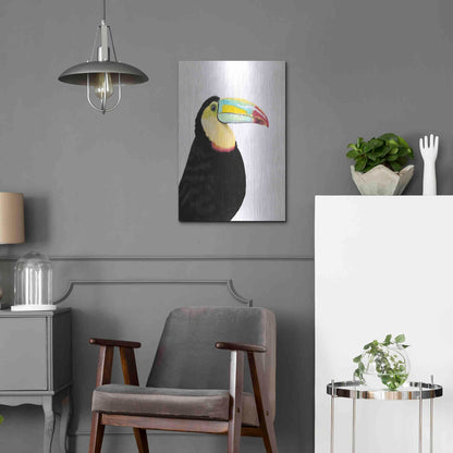 Luxe Metal Art 'Watercolor Toucan' by Naomi McCavitt, Metal Wall Art,16x24