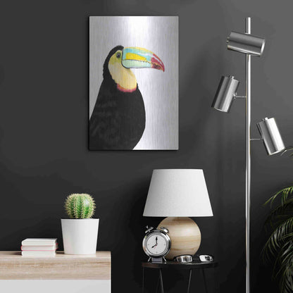 Luxe Metal Art 'Watercolor Toucan' by Naomi McCavitt, Metal Wall Art,16x24