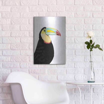Luxe Metal Art 'Watercolor Toucan' by Naomi McCavitt, Metal Wall Art,16x24