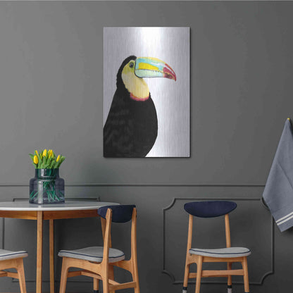 Luxe Metal Art 'Watercolor Toucan' by Naomi McCavitt, Metal Wall Art,24x36