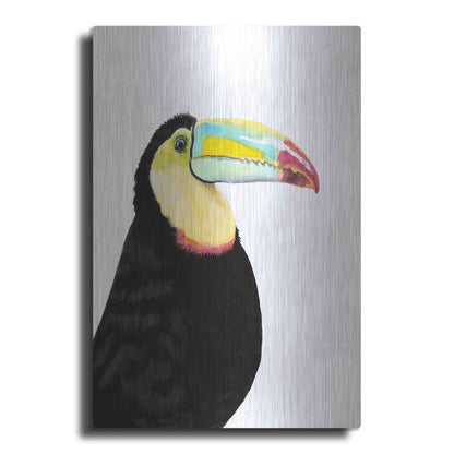 Luxe Metal Art 'Watercolor Toucan' by Naomi McCavitt, Metal Wall Art