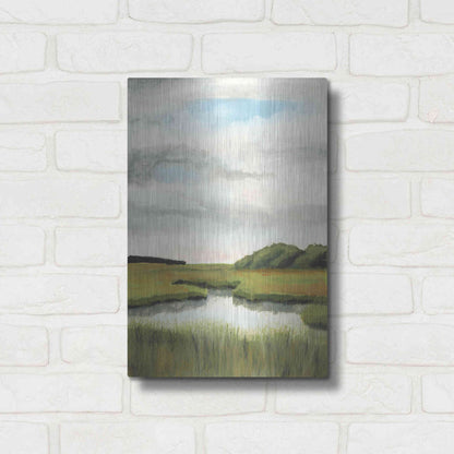 Luxe Metal Art 'Marsh Landscapes II' by Naomi McCavitt, Metal Wall Art,12x16