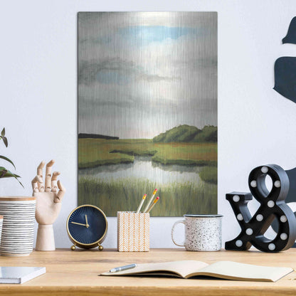 Luxe Metal Art 'Marsh Landscapes II' by Naomi McCavitt, Metal Wall Art,12x16