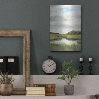 Luxe Metal Art 'Marsh Landscapes II' by Naomi McCavitt, Metal Wall Art,12x16