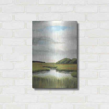 Luxe Metal Art 'Marsh Landscapes II' by Naomi McCavitt, Metal Wall Art,16x24