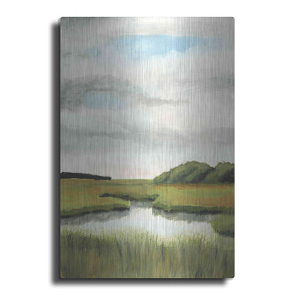 Luxe Metal Art 'Marsh Landscapes II' by Naomi McCavitt, Metal Wall Art