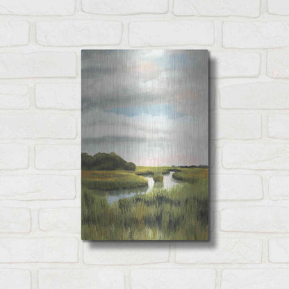 Luxe Metal Art 'Marsh Landscapes I' by Naomi McCavitt, Metal Wall Art,12x16
