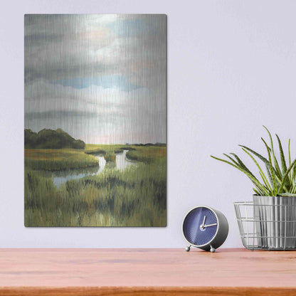 Luxe Metal Art 'Marsh Landscapes I' by Naomi McCavitt, Metal Wall Art,12x16