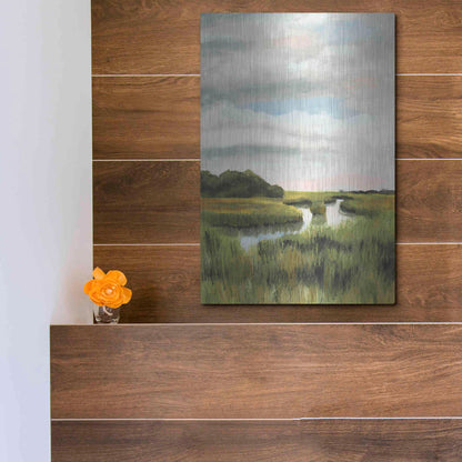 Luxe Metal Art 'Marsh Landscapes I' by Naomi McCavitt, Metal Wall Art,12x16