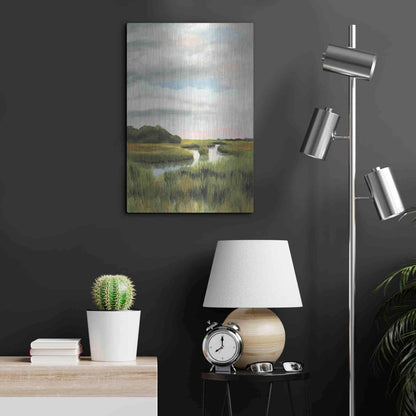Luxe Metal Art 'Marsh Landscapes I' by Naomi McCavitt, Metal Wall Art,16x24