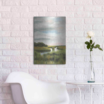 Luxe Metal Art 'Marsh Landscapes I' by Naomi McCavitt, Metal Wall Art,16x24