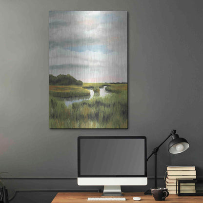 Luxe Metal Art 'Marsh Landscapes I' by Naomi McCavitt, Metal Wall Art,24x36