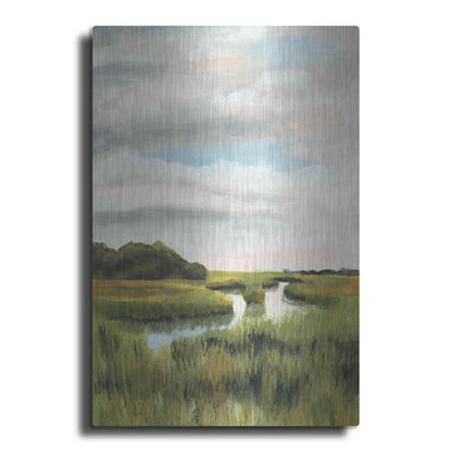 Luxe Metal Art 'Marsh Landscapes I' by Naomi McCavitt, Metal Wall Art