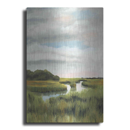 Luxe Metal Art 'Marsh Landscapes I' by Naomi McCavitt, Metal Wall Art