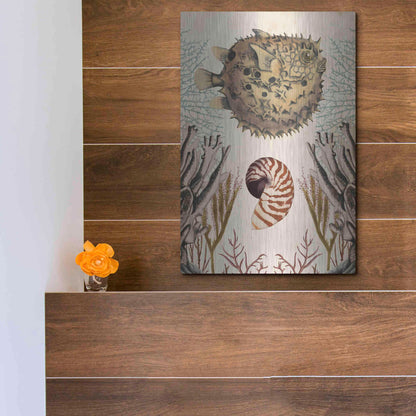 Luxe Metal Art 'Antiquarian Menagerie-Puffer Fish' by Naomi McCavitt, Metal Wall Art,12x16