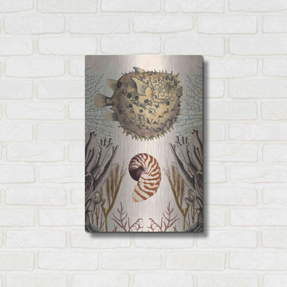 Luxe Metal Art 'Antiquarian Menagerie-Puffer Fish' by Naomi McCavitt, Metal Wall Art,16x24