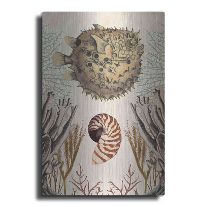 Luxe Metal Art 'Antiquarian Menagerie-Puffer Fish' by Naomi McCavitt, Metal Wall Art