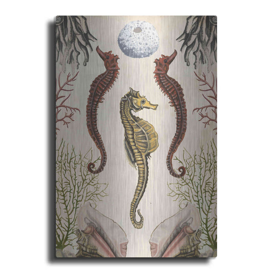 Luxe Metal Art 'Antiquarian Menagerie-Seahorse' by Naomi McCavitt, Metal Wall Art