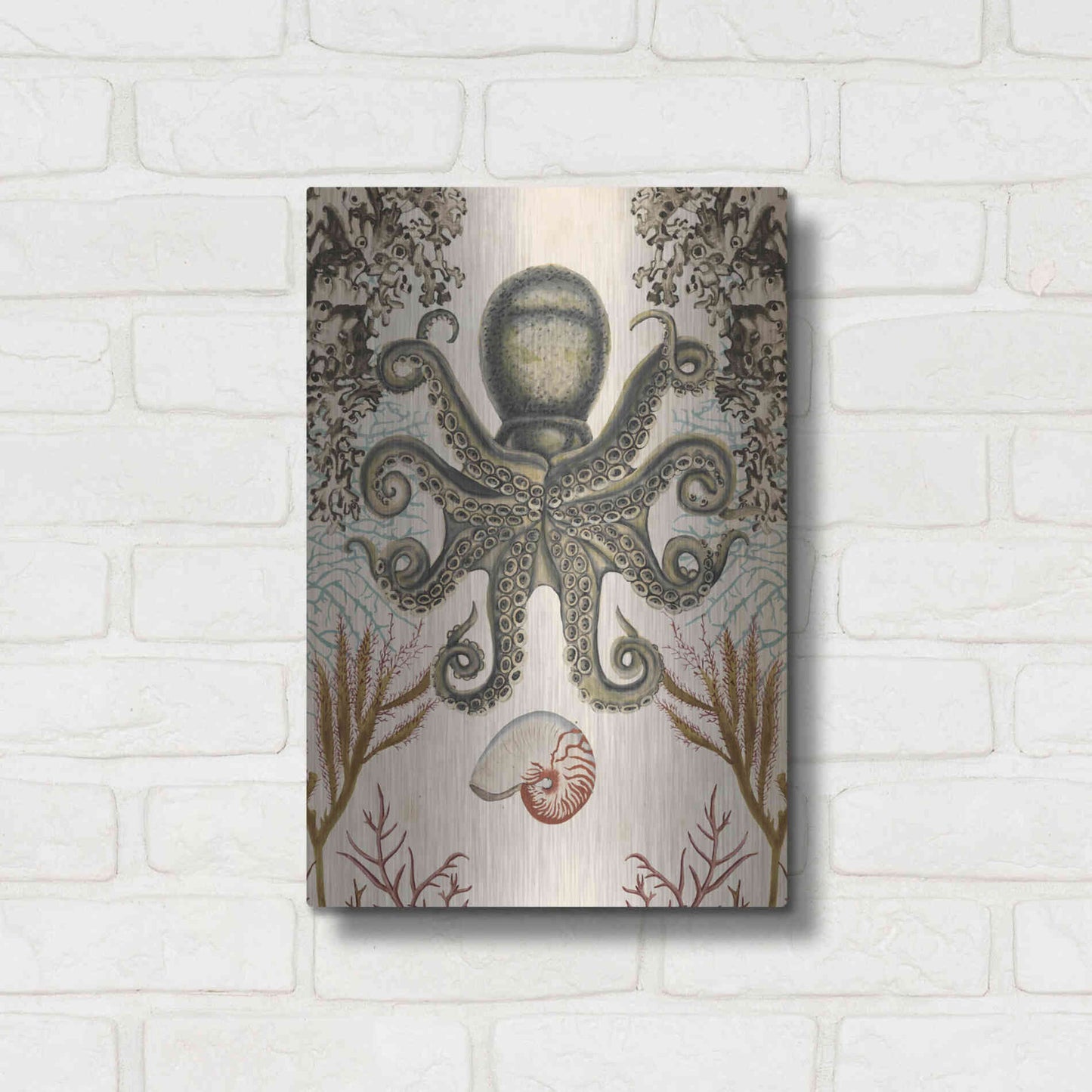 Luxe Metal Art 'Antiquarian Menagerie-Octopus' by Naomi McCavitt, Metal Wall Art,12x16