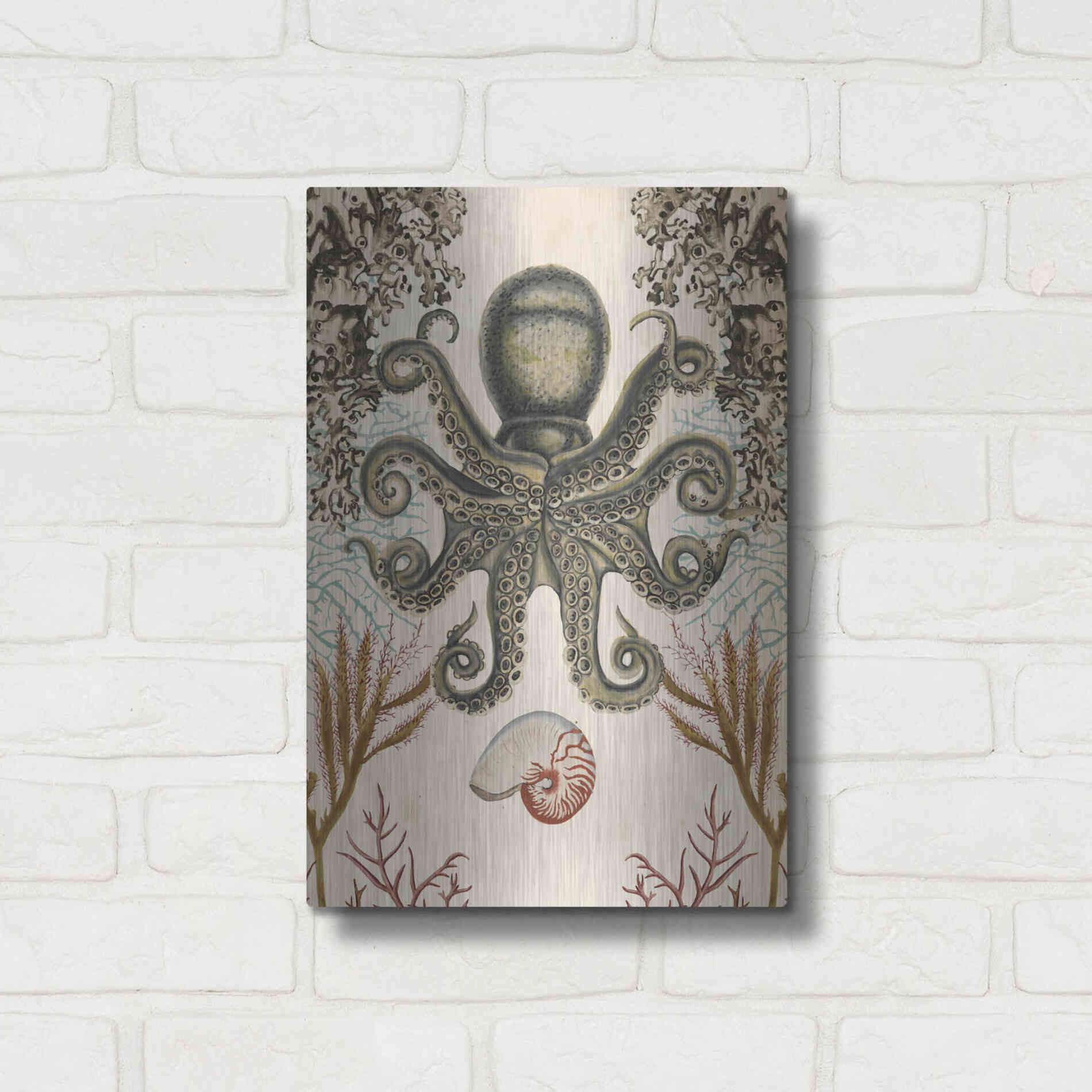 Luxe Metal Art 'Antiquarian Menagerie-Octopus' by Naomi McCavitt, Metal Wall Art,12x16