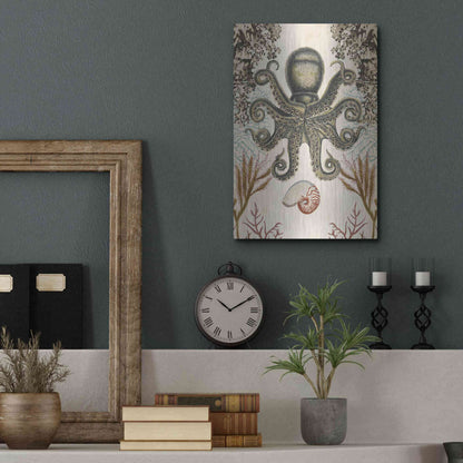 Luxe Metal Art 'Antiquarian Menagerie-Octopus' by Naomi McCavitt, Metal Wall Art,12x16