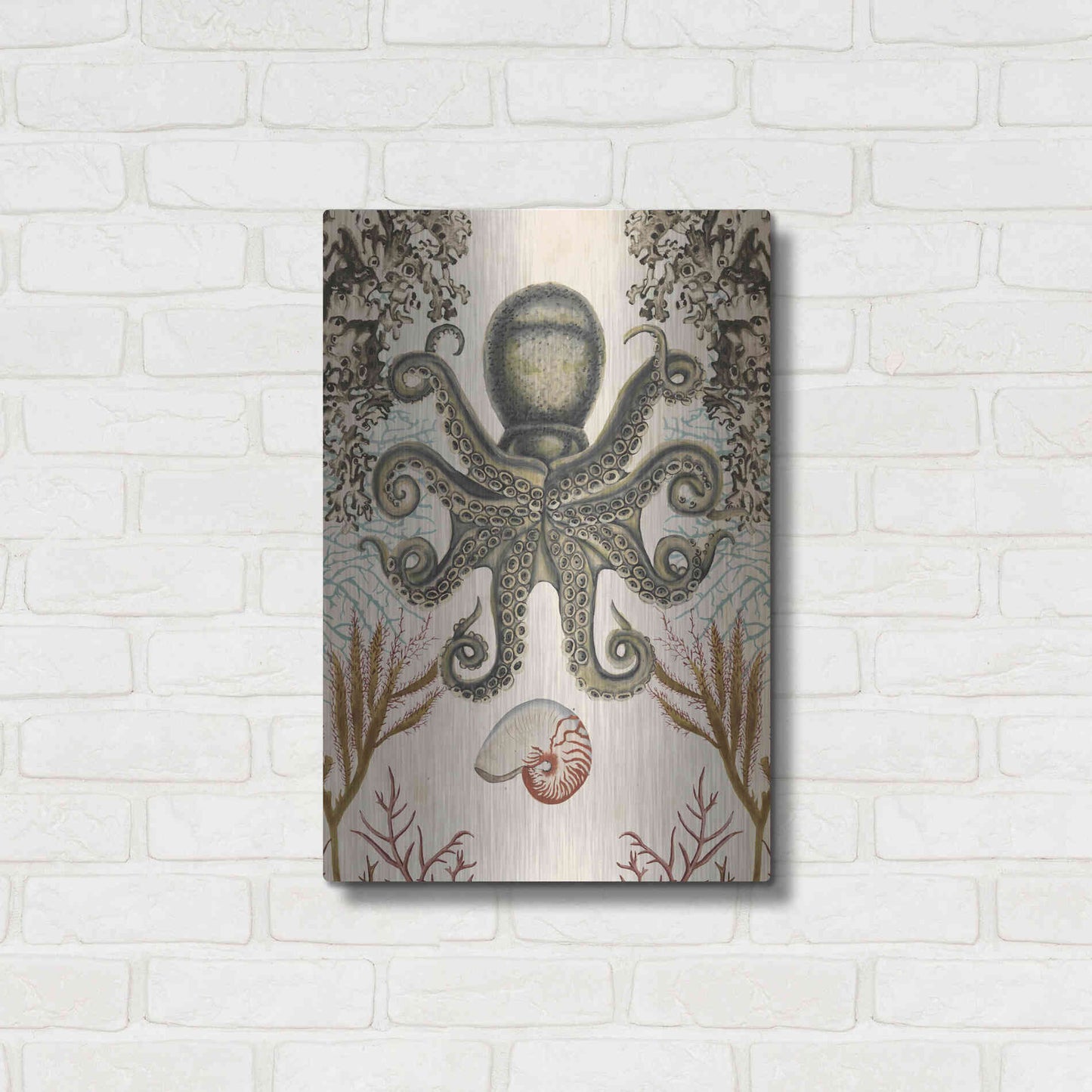 Luxe Metal Art 'Antiquarian Menagerie-Octopus' by Naomi McCavitt, Metal Wall Art,16x24