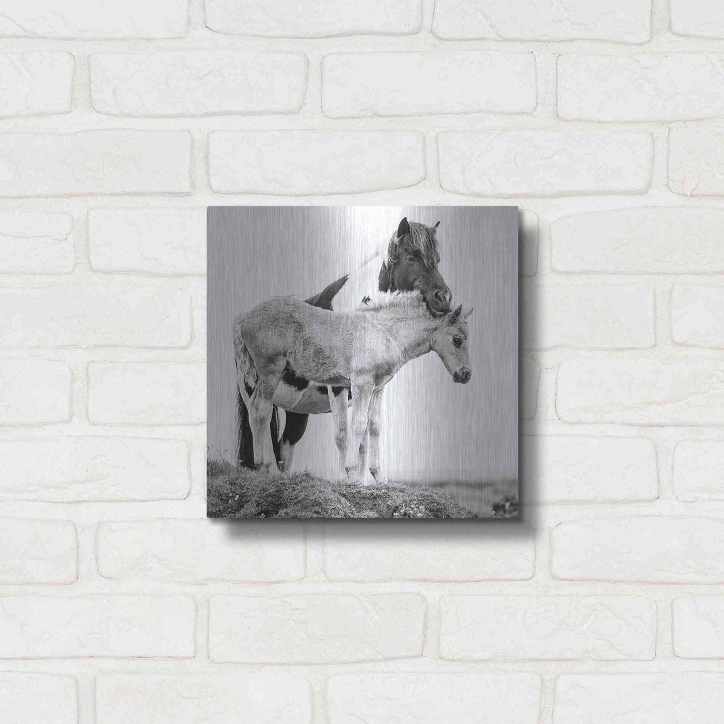 Luxe Metal Art 'BandW Horses I' by PH Burchett, Metal Wall Art,12x12