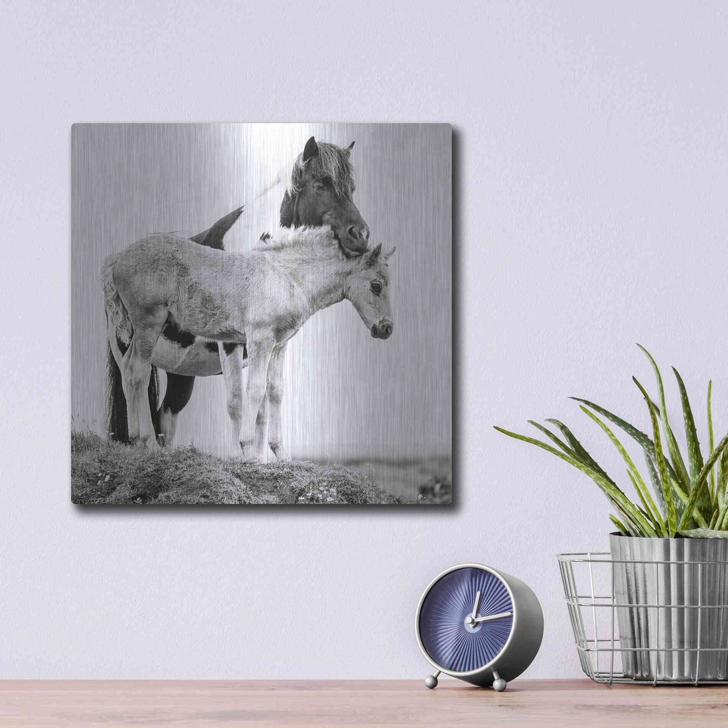 Luxe Metal Art 'BandW Horses I' by PH Burchett, Metal Wall Art,12x12