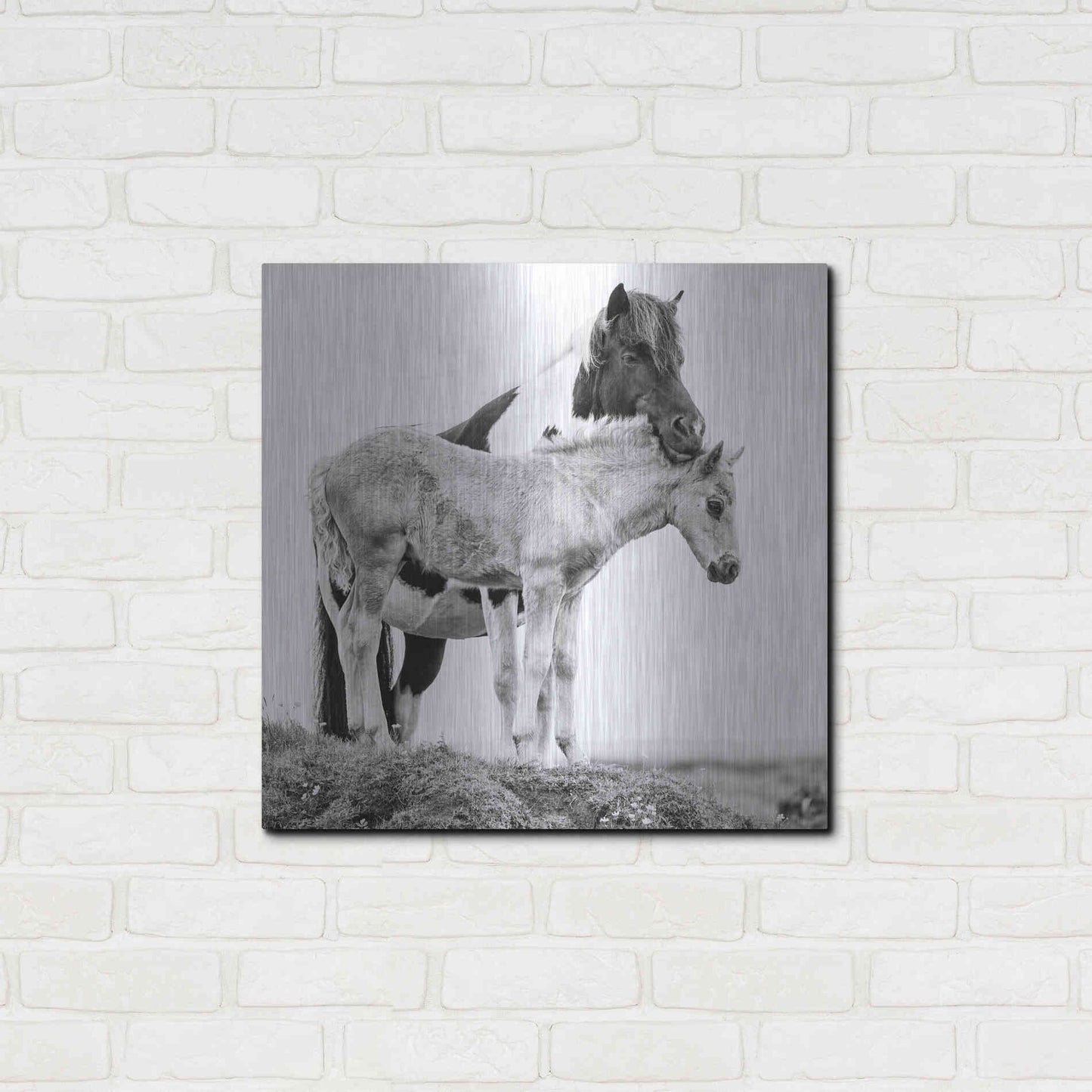 Luxe Metal Art 'BandW Horses I' by PH Burchett, Metal Wall Art,24x24