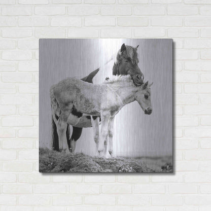 Luxe Metal Art 'BandW Horses I' by PH Burchett, Metal Wall Art,36x36