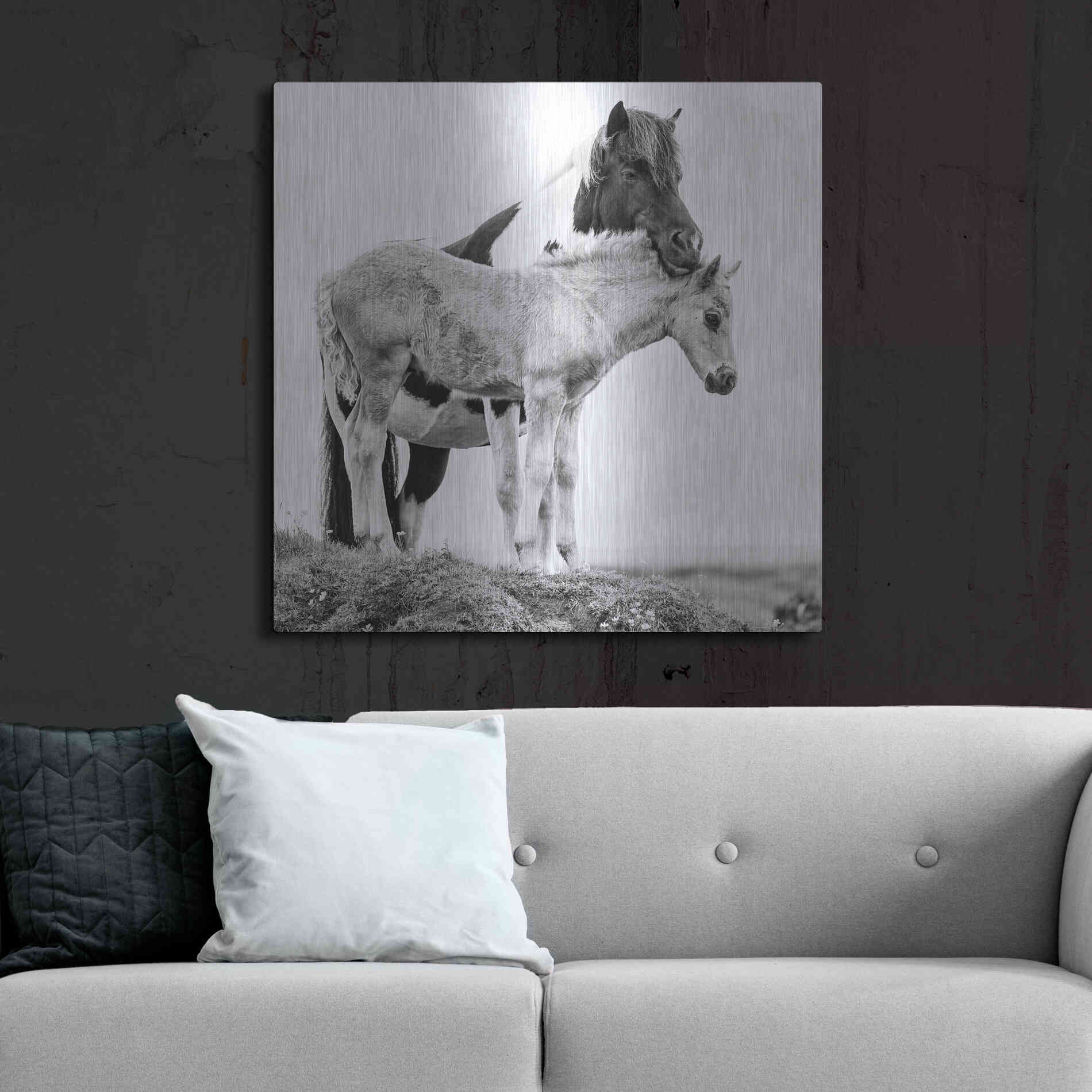 Luxe Metal Art 'BandW Horses I' by PH Burchett, Metal Wall Art,36x36