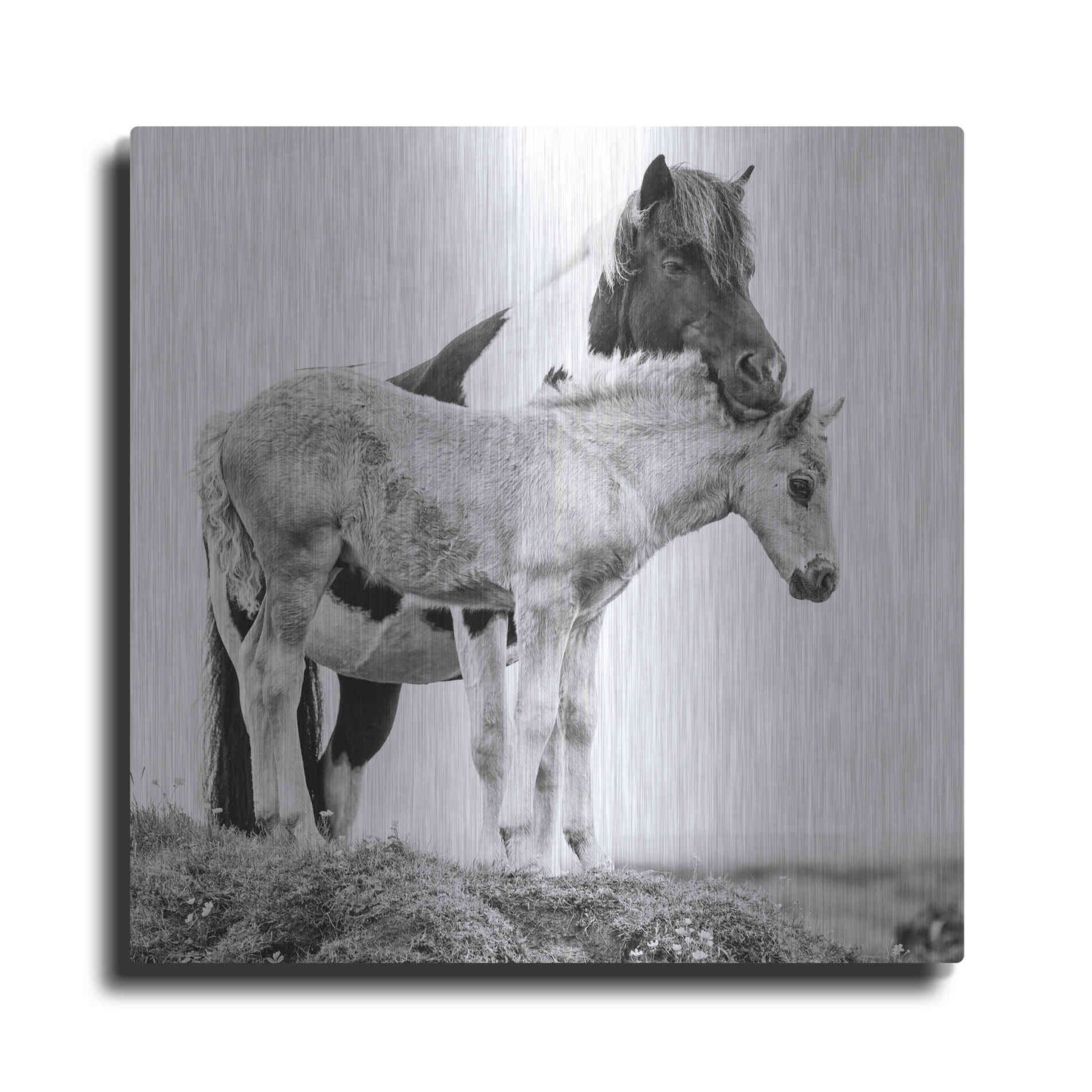 Luxe Metal Art 'BandW Horses I' by PH Burchett, Metal Wall Art