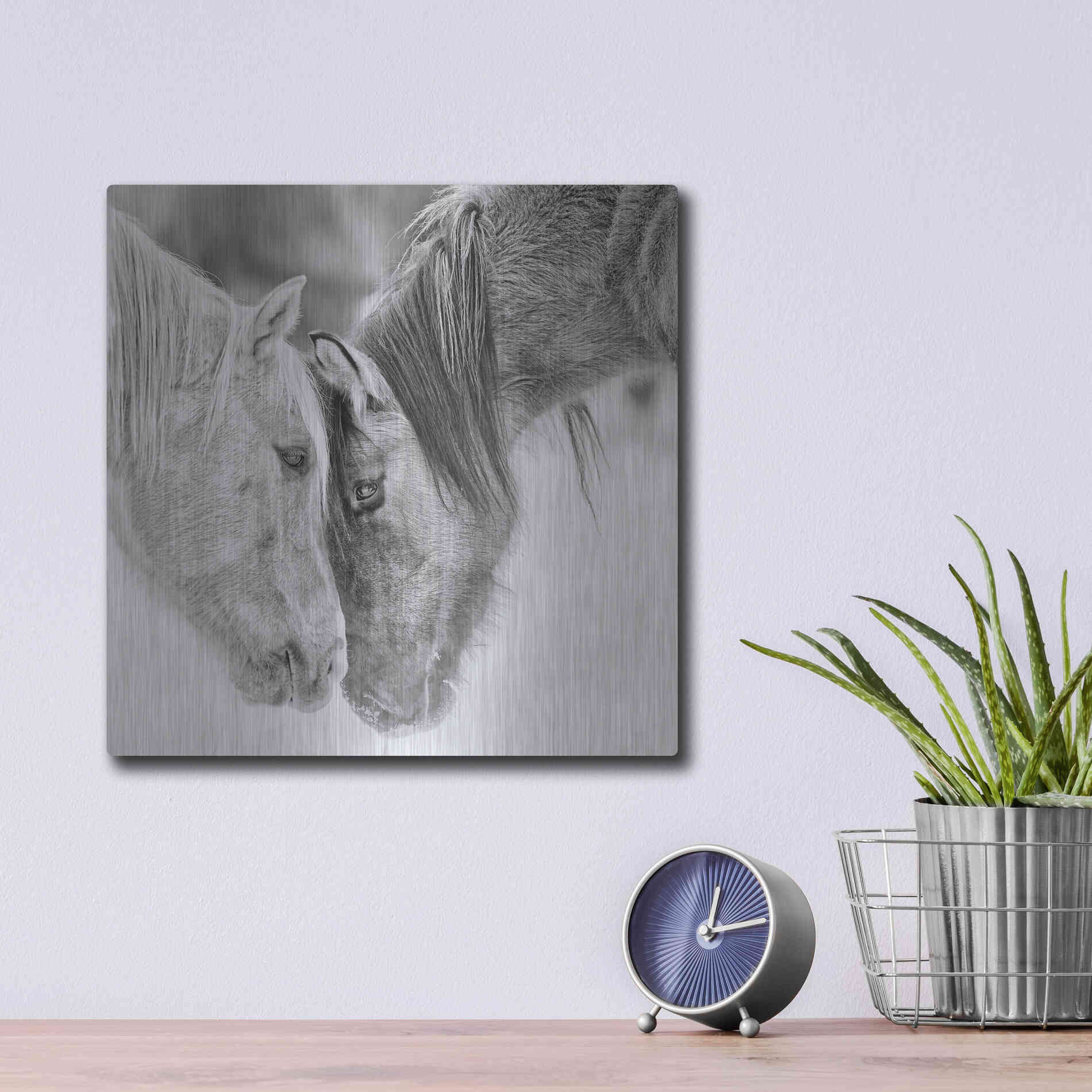 Luxe Metal Art 'BandW Horses VII' by PH Burchett, Metal Wall Art,12x12