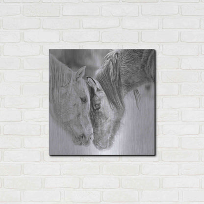 Luxe Metal Art 'BandW Horses VII' by PH Burchett, Metal Wall Art,24x24