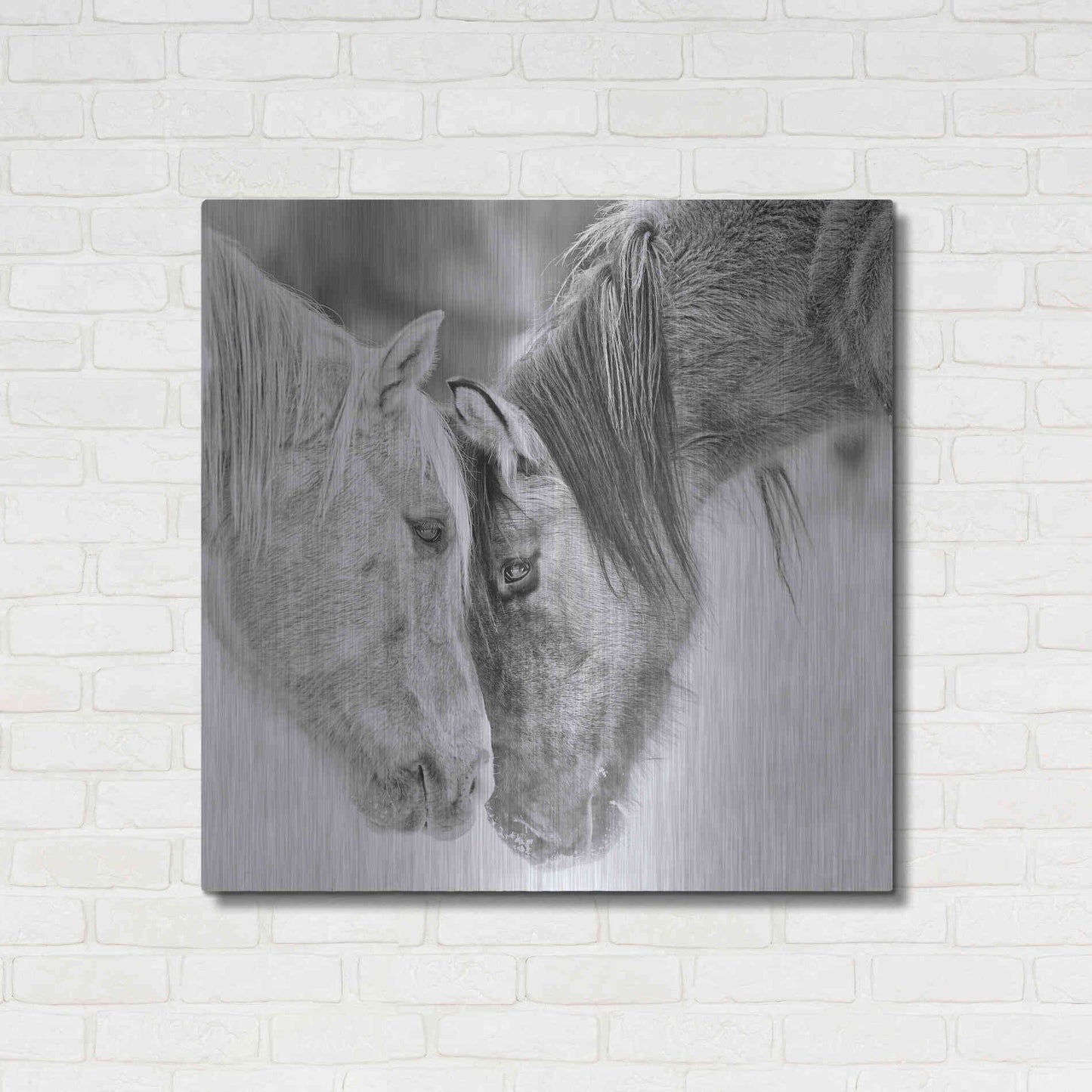 Luxe Metal Art 'BandW Horses VII' by PH Burchett, Metal Wall Art,36x36