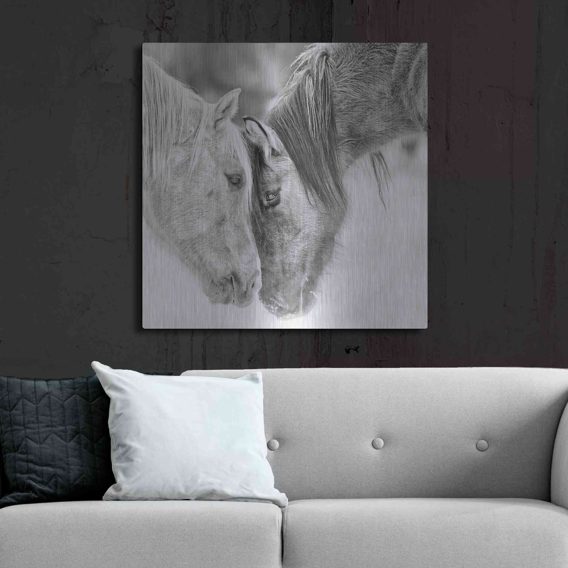 Luxe Metal Art 'BandW Horses VII' by PH Burchett, Metal Wall Art,36x36