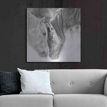 Luxe Metal Art 'BandW Horses VII' by PH Burchett, Metal Wall Art,36x36